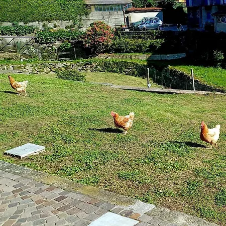 Casa Mati 1 Appartement