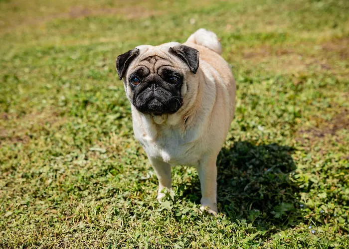 Casa Mati 1 아파트 베르바니아