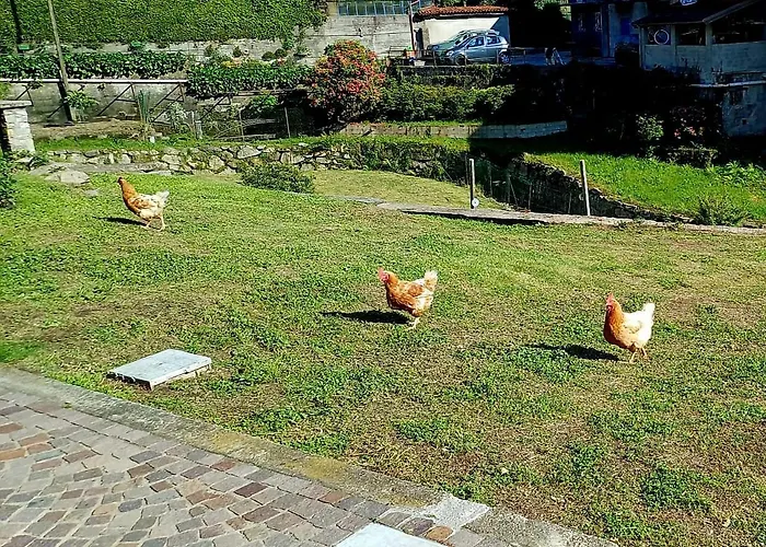 Casa Mati 1 아파트