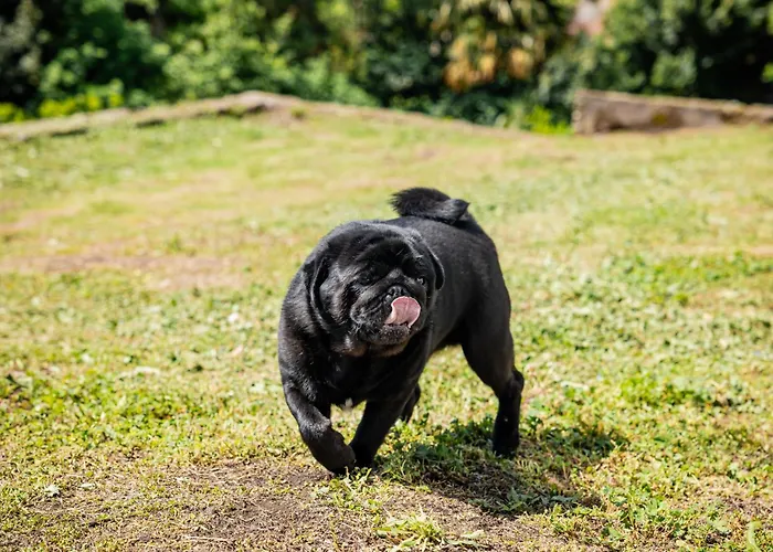 Casa Mati 1 * 베르바니아